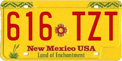 NM license plate 616TZT