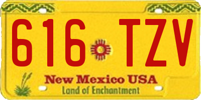 NM license plate 616TZV