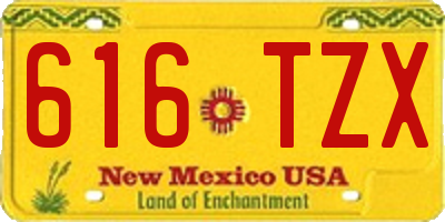 NM license plate 616TZX