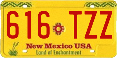 NM license plate 616TZZ