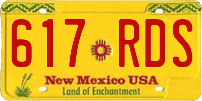 NM license plate 617RDS
