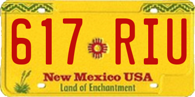 NM license plate 617RIU