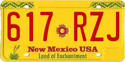 NM license plate 617RZJ
