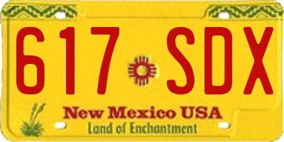NM license plate 617SDX