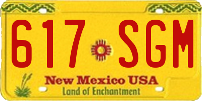 NM license plate 617SGM