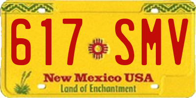 NM license plate 617SMV