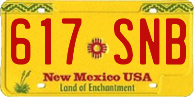NM license plate 617SNB