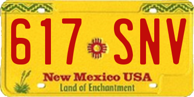 NM license plate 617SNV