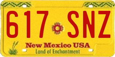 NM license plate 617SNZ