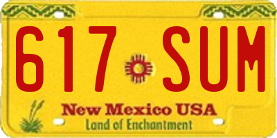 NM license plate 617SUM
