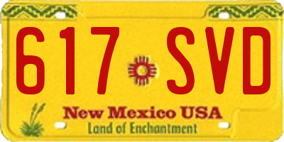 NM license plate 617SVD