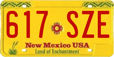 NM license plate 617SZE