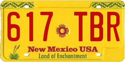 NM license plate 617TBR