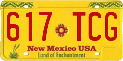 NM license plate 617TCG