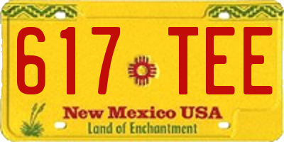 NM license plate 617TEE