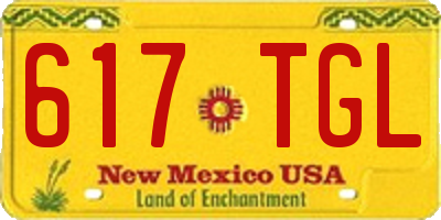 NM license plate 617TGL