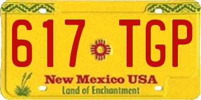 NM license plate 617TGP