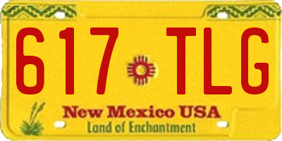 NM license plate 617TLG
