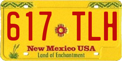 NM license plate 617TLH