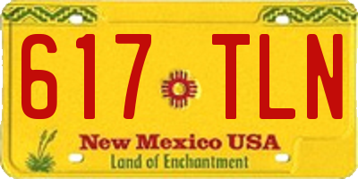 NM license plate 617TLN
