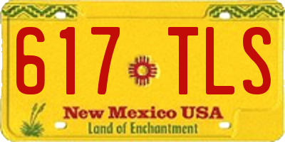 NM license plate 617TLS
