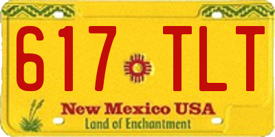 NM license plate 617TLT