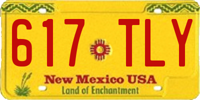 NM license plate 617TLY