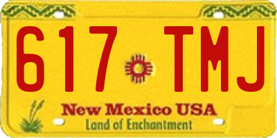 NM license plate 617TMJ