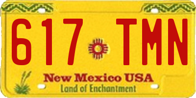 NM license plate 617TMN