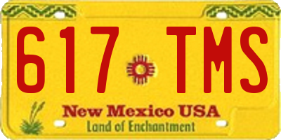 NM license plate 617TMS