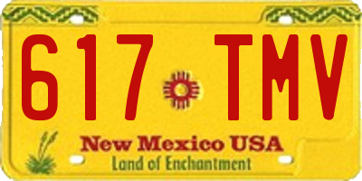 NM license plate 617TMV