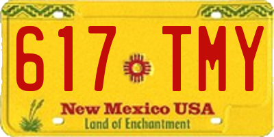 NM license plate 617TMY