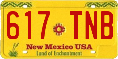 NM license plate 617TNB