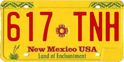 NM license plate 617TNH