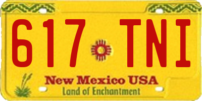 NM license plate 617TNI