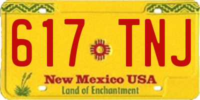 NM license plate 617TNJ
