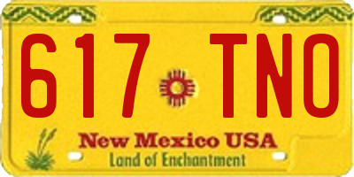 NM license plate 617TNO
