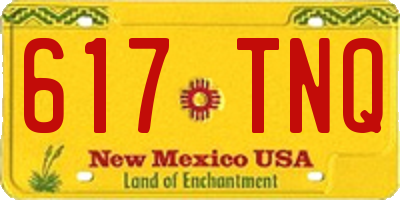 NM license plate 617TNQ
