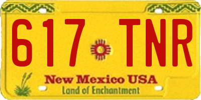 NM license plate 617TNR