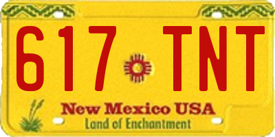 NM license plate 617TNT