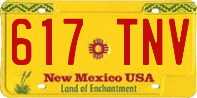 NM license plate 617TNV
