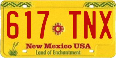 NM license plate 617TNX