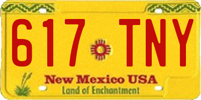 NM license plate 617TNY