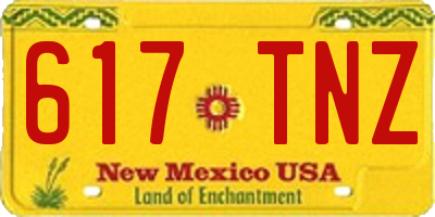 NM license plate 617TNZ