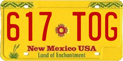 NM license plate 617TOG