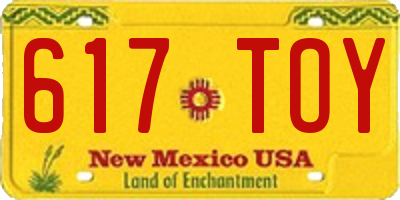 NM license plate 617TOY