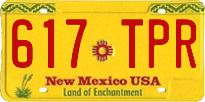 NM license plate 617TPR