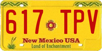 NM license plate 617TPV