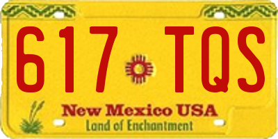 NM license plate 617TQS