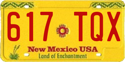 NM license plate 617TQX